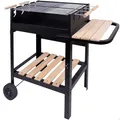 Produktbild: Tragbarer Holzkohlegrill mit Doppelgrill von AKTIVE, 100 cm