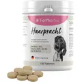 Produktbild: EXVital® Haarpracht Tabletten - hochdosiertes Biotin Komplex für Hunde