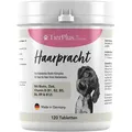 Produktbild: Haarpracht Tabletten - hochdosiertes Biotin Komplex für Hunde
