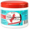 Produktbild: Bio-Vital Pferdebalsam Chili 500 ml