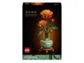 Produktbild: LEGO 10368 Icons - Chrysantheme - Geschenkidee, Neu & OVP