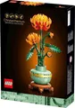 Produktbild: LEGO Icons Botanik Kollektion Blumen, Art, NEUHEITEN 2026 Varinanten NEU & OVP