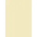 Produktbild: Universalpapier chamois DIN A4 160g