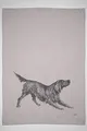 Produktbild: 17;30 HOME Geschirrtuch, 100% Baumwolle, streckender Hund, umweltfreundlich, grau-braun-weiß, 50x70 cm