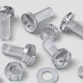 Produktbild: 30x Acryl-Flachrundschrauben M8 x 20 mm mit Muttern