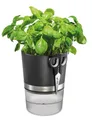 Produktbild: GEFU BOTANICO KRÄutertopf-Set mit Selbstbewässerung & KRÄuterschere - Blumentopf mit 500ml Wasserreservoir, Standanzeige & Nylondocht - Automatisches Bewässerungssystem, 18,5cm