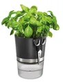 Produktbild: GEFU Kräuterschere Set: Kräutertopf BOTANICO + Kräuterschere BOTANICO