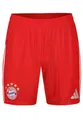 Produktbild: Herren Fußballshorts BAYERN MÜNCHEN HOME M