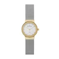 Produktbild: Skagen 358SGSCD Damen Uhr