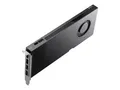 Produktbild: PNY NVIDIA RTX PRO 4000 Blackwell - Grafikkarte #EG258