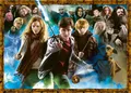 Produktbild: Erwachsenenpuzzle 1000 Teile - Der Zauberschüler Harry Potter | Spiel | 12000463