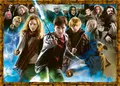 Produktbild: Erwachsenenpuzzle 1000 Teile - Der Zauberschüler Harry Potter