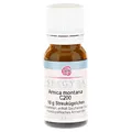 Produktbild: ARNICA MONTANA C 200 Globuli 10 g