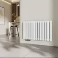 Produktbild: Heizkörper Flach Heizkörper Design Paneelheizkörper Horizontal, Einlagig, Seitenanschluss, 63x100cm, 730W, Weiß - Emke