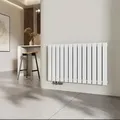 Produktbild: Heizkörper Flach Heizkörper Design Paneelheizkörper Horizontal, Einlagig, Seitenanschluss, 63x100cm, 730w, Weiß - Emke