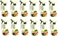 Produktbild: 12x Dr. Stähler 500 ml Marderfrei Spray gegen Marder Fernhaltespray Abwehr