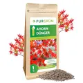 Produktbild: Purgrün® Ahorn-Dünger 1 kg – Organisch-mineralische Rezeptur – Feinkörniges Krümelgranulat – NPK 5+4+6 – Mit Magnesium & Tonmineralien – Extra Kalium für Widerstandsfähigkeit – Für gesunde Ahornbäume