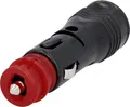 Produktbild: Cartrend Universal-Stecker mit Sicherung 12/24V
