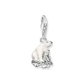 Produktbild: THOMAS SABO Charm-Anhänger Eisbären recycletes 925 Sterlingsilber 1911-691-7