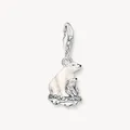 Produktbild: THOMAS SABO Charm Anhänger Eisbären 925 Sterlingsilber farbige Steine 1911-691-7