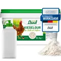 Produktbild: Kieselgur für Hühner 1kg INKLUSIVE Stäubeflasche  Reines Kieselgur Hühner Pul...