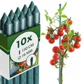 Produktbild: KADAX Pflanzstäbe 150 cm x 16 mm, 10er Set – Beschichteter Stahl Rankstab, Pflanzenstütze & Tomatenstäbe für Garten, Wetterfest & Stabil