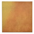 Produktbild: Ersatzfliese Boden Spaltplatte Ammo E4187 1611 240 herbstfarben 24x24 cm I.Sorte
