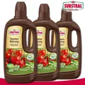 Produktbild: Substral Naturen 3 x 1 l Tomaten & Kräuter Nahrung Bio