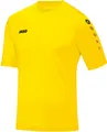 Produktbild: Jako Fußballtrikot Trikot Team KA citro