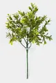 Produktbild: artplants Deko Buchszweig Tom, 6 Zweige auf Steckstab, 45cm