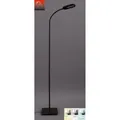 Produktbild: Briloner CCT LED Stehleuchte mit Dimmfunktion Metall-Kunststoff schwarz  8W