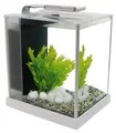 Produktbild: Fluval Spec III (10 Liter) - Farbe: Weiß - 27,5 x 32,5 x 22,3 cm