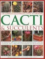 Produktbild: Miles Anderson - Complete Illustrated Guide to Growing Cacti and Succu - G245z