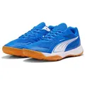 Produktbild: PUMA SOLARFLASH III Hallenschuh blau 40 EU