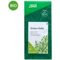 Produktbild: Grüner Hafertee Bio Salus