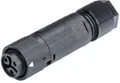 Produktbild: Wieland Electric 46.031.4553.1 Rundstecker Kupplung, gerade Gesamtpolzahl: 2 + PE Serie (Rundsteckverbinder): RST MINI 1St.