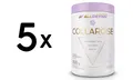 Produktbild: 5 x Allnutrition AllDeynn Collarose, Mango Passion Fruit - 300g (86,66 EUR/kg)