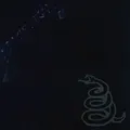 Produktbild: METALLICA (REMASTERED/2LP)