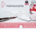 Produktbild: Hahnemühle Expression matt 24x30 cm, 20 Blatt