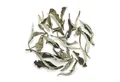 Produktbild: tea exclusive Tee White Moonlight, Weißer Tee, BIO, China, 50g, Besonderes Geschmacksbouquet - frisch und lieblich mit leichter Note v