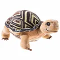Produktbild: Heunec Schule der magischen Tiere Schildkröte Henrietta Kuscheltier Plüsch 23 cm