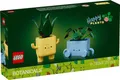 Produktbild: LEGO Botanicals 10349 Fröhliche Pflanzen Happy Plants Set 217 Teile NEU & OVP