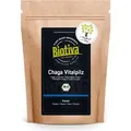 Produktbild: Biotiva Chaga Pilz Pulver 125g aus biologischem Anbau