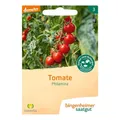 Produktbild: Tomate - Philamina | BINGENHEIMER