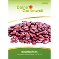 Produktbild: Kidneybohne Augusta Samen - Phaseolus vulgaris - Kidneybohnensamen - Bohnensamen - Gemüsesamen - Saatgut