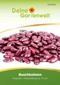 Produktbild: Kidneybohne Augusta Samen - Phaseolus vulgaris  - Buschbohnensamen