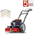 Produktbild: Scheppach Benzin Wiesenmäher Hmp161-56 4,1ps Schnittbreite 56cm Rasenmäher
