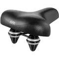 Produktbild: Selle Royal Classic 6954 (SRTC C5 0000/8 69545 A52010)