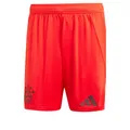 Produktbild: adidas Bayern München Herren-Shorts 2024 2025, Erwachsene, rot, M