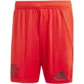 Produktbild: ADIDAS Herren Teamhose FC Bayern München 24/25 Heim